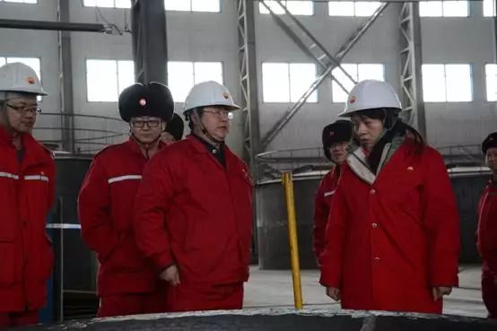 开云 开云体育平台公司顺利通过D类压力容器制造许可换证评审(图2)
