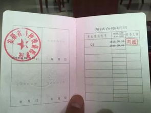焊工职业开云APP 开云官网入口资格证书查询怎么查询？(图5)
