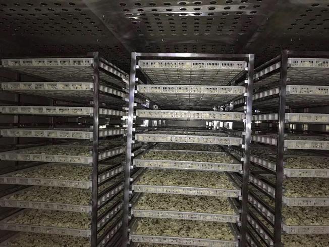热泵烘干机--农民朋友的贴心小棉袄开云体育 开云官网(图6)